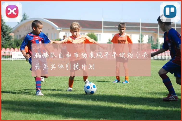 鹈鹕队自由市场表现平平续约小乔丹无其他引援计划